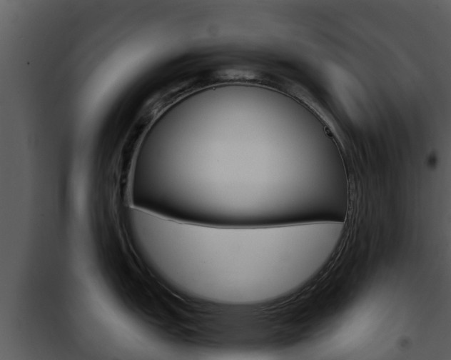 X0000101991151200807180818