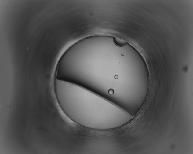 X0000101991152200807180818