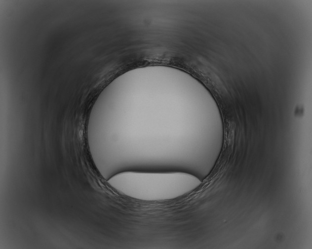 X0000101991154200807180817