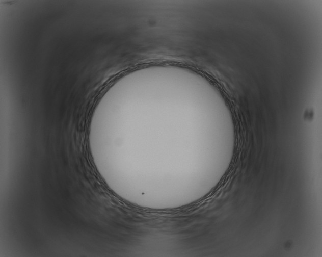 X0000101991157200807180817
