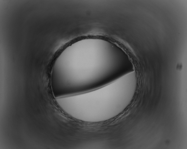 X0000101991160200807180817