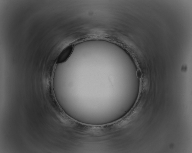 X0000101991161200807180817