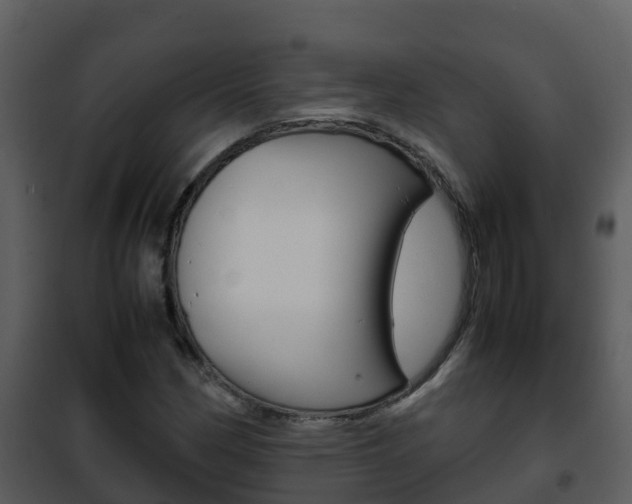 X0000101991162200807180817