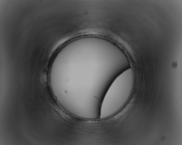 X0000101991166200807180817