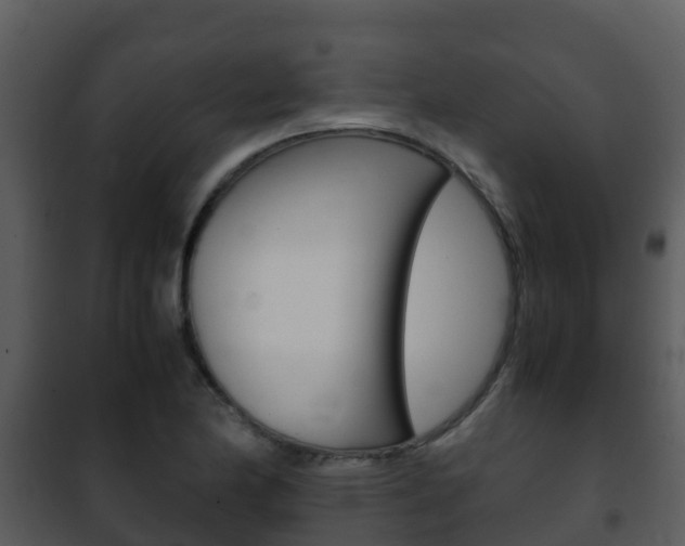 X0000101991174200807180817
