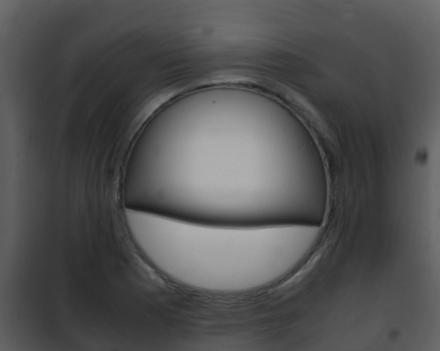 X0000101991177200807180817