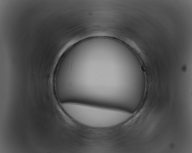 X0000101991181200807180817