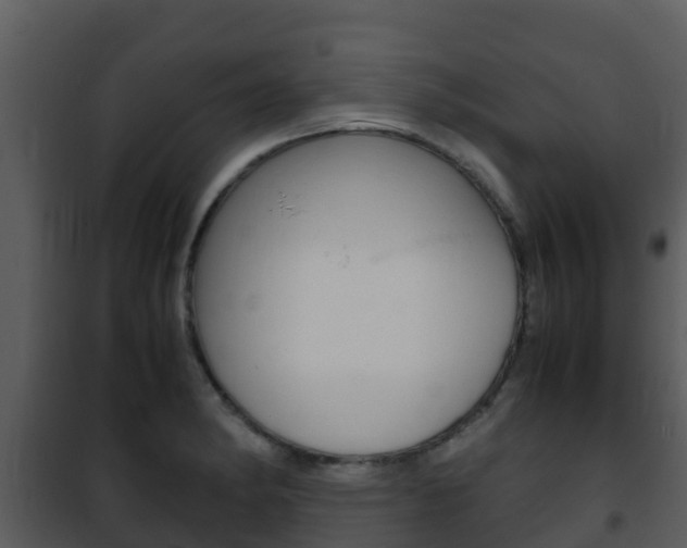 X0000101991182200807180817