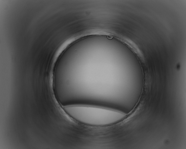 X0000101991188200807180817