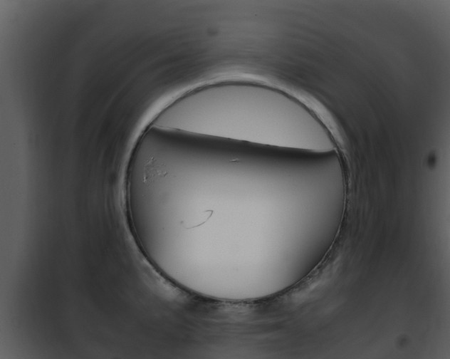 X0000101991191200807180817