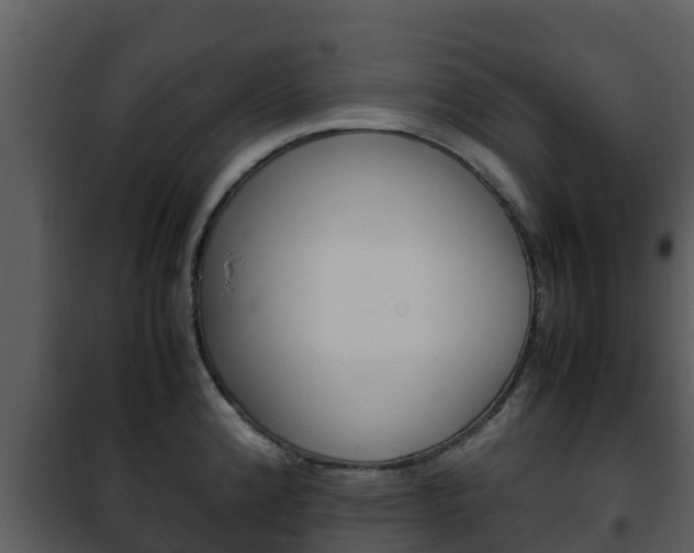 X0000101991192200807180817