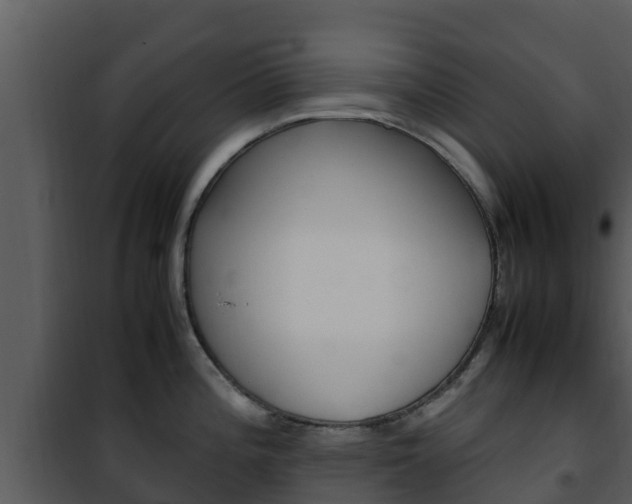 X0000101991196200807180817