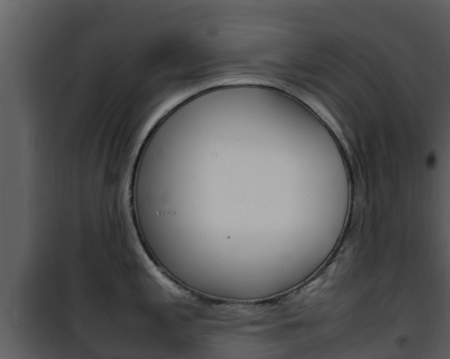 X0000101991197200807180817