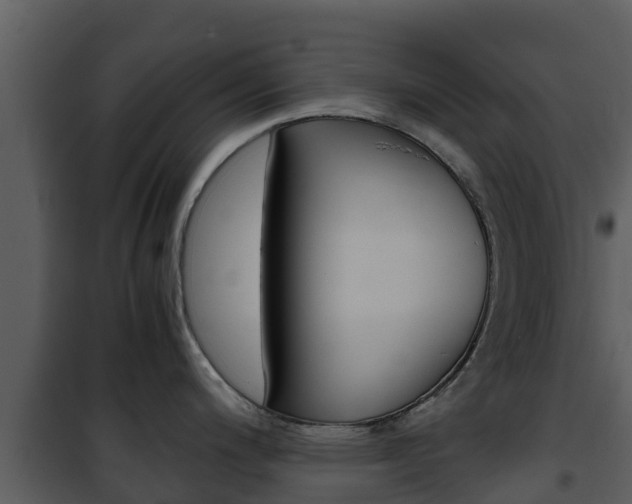 X0000101991200200807180817