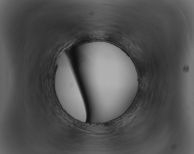 X0000101991201200807180816