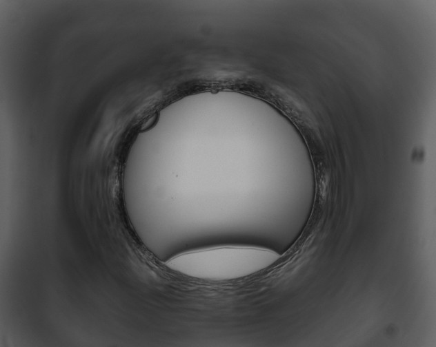 X0000101991204200807180816