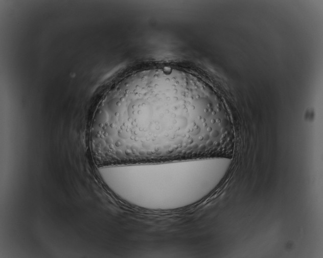 X0000101991205200807180816