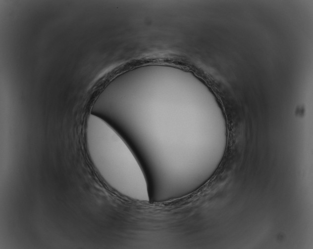 X0000101991206200807180816