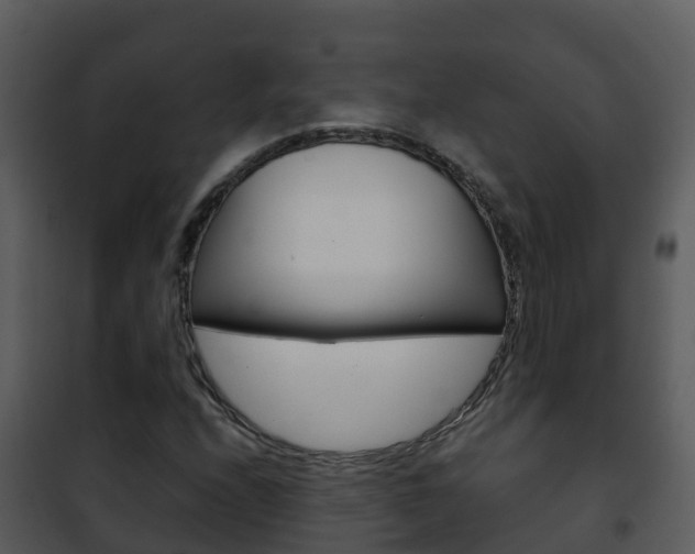 X0000101991208200807180816