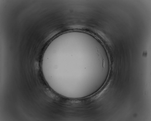 X0000101991209200807180816