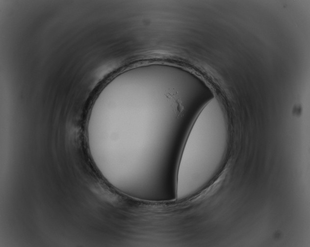 X0000101991210200807180816