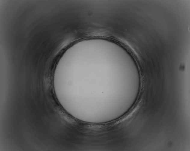 X0000101991211200807180816