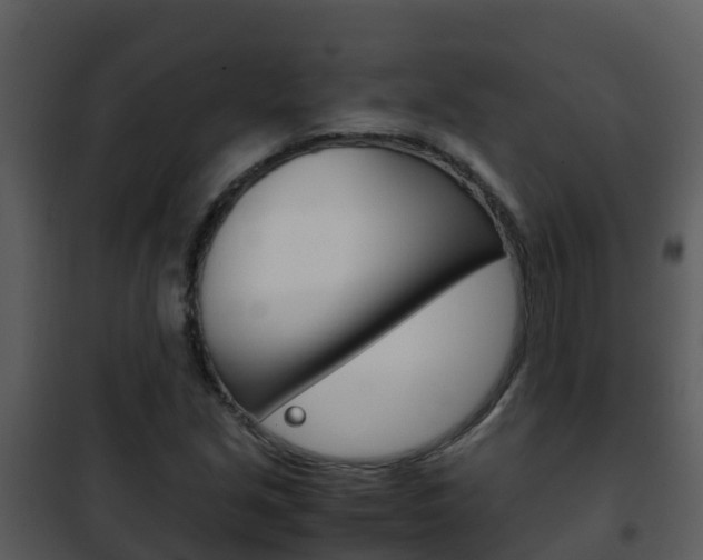 X0000101991213200807180816