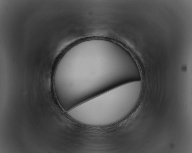 X0000101991214200807180816