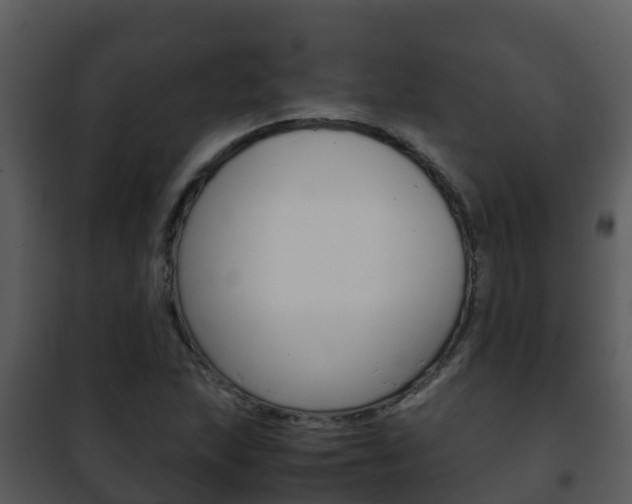 X0000101991215200807180816