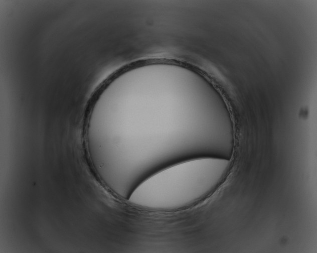 X0000101991216200807180816