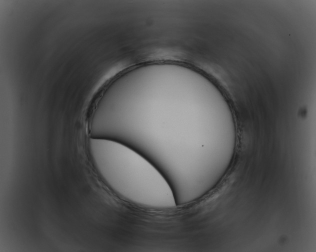 X0000101991219200807180816