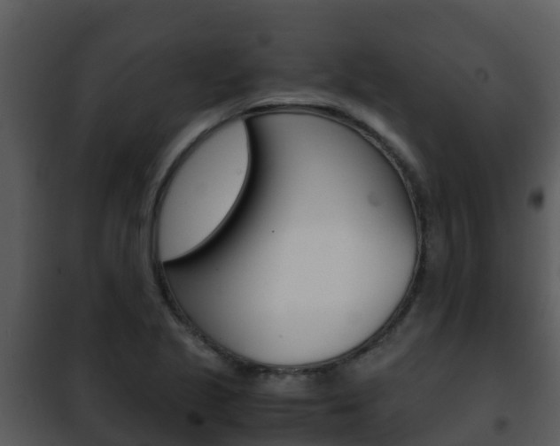X0000101991221200807180816