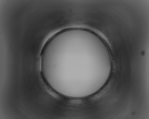 X0000101991223200807180816