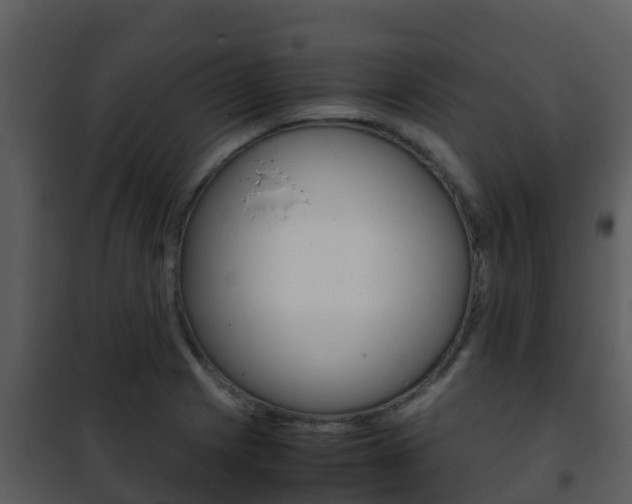 X0000101991225200807180816
