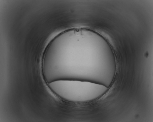 X0000101991231200807180817