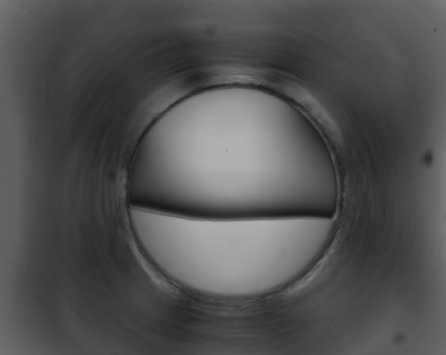 X0000101991233200807180817