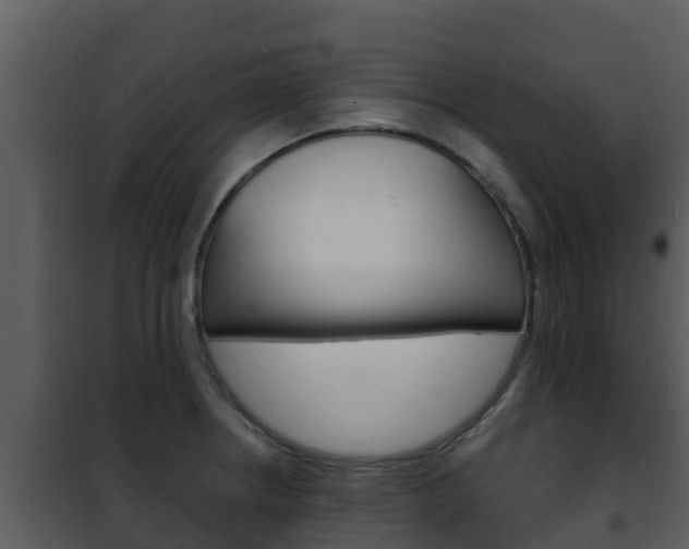 X0000101991234200807180817