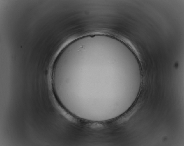 X0000101991235200807180817
