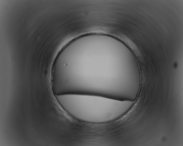 X0000101991240200807180817