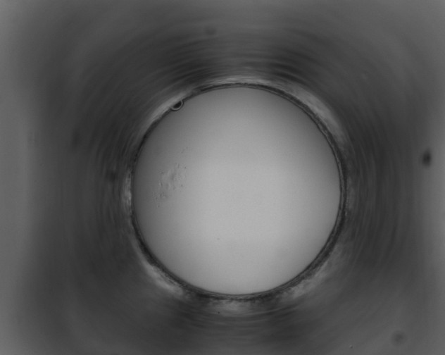 X0000101991241200807180817