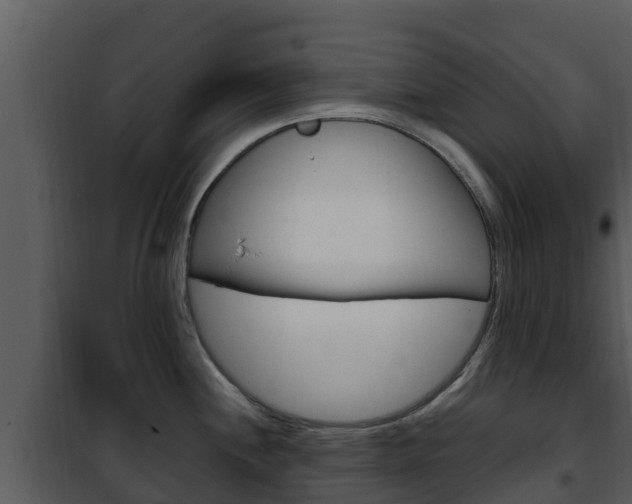 X0000101991244200807180817