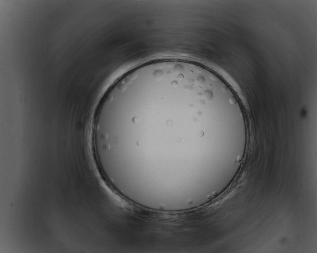 X0000101991245200807180817