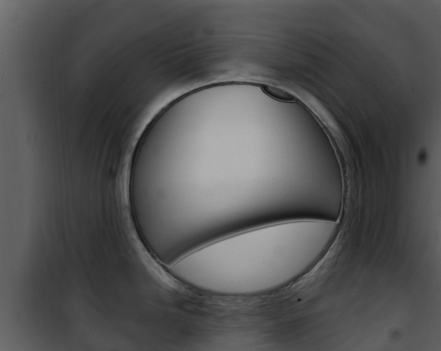 X0000101991246200807180817