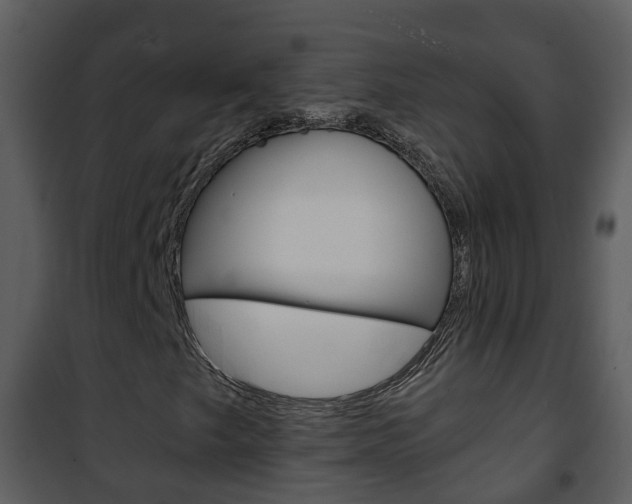 X0000101991249200807180816