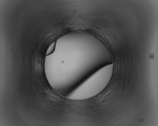 X0000101991250200807180816
