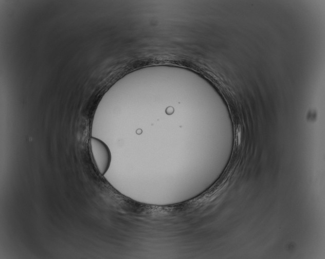 X0000101991251200807180816