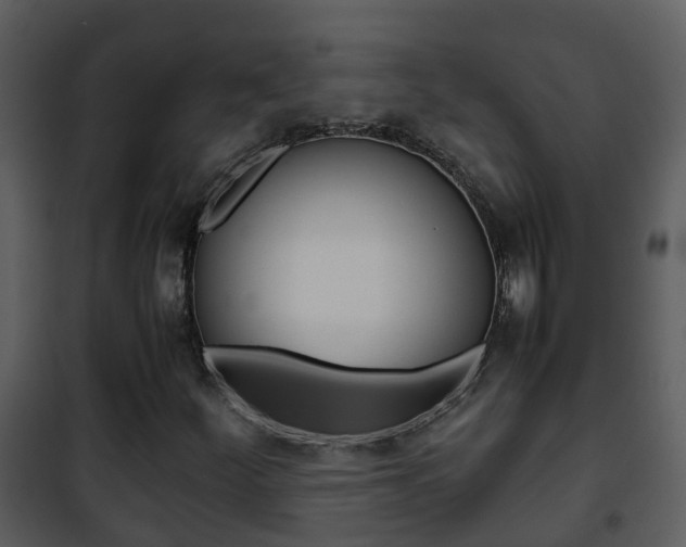 X0000101991252200807180816