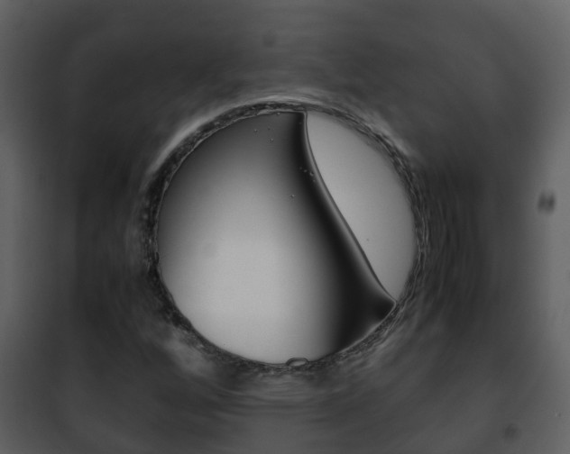 X0000101991256200807180816