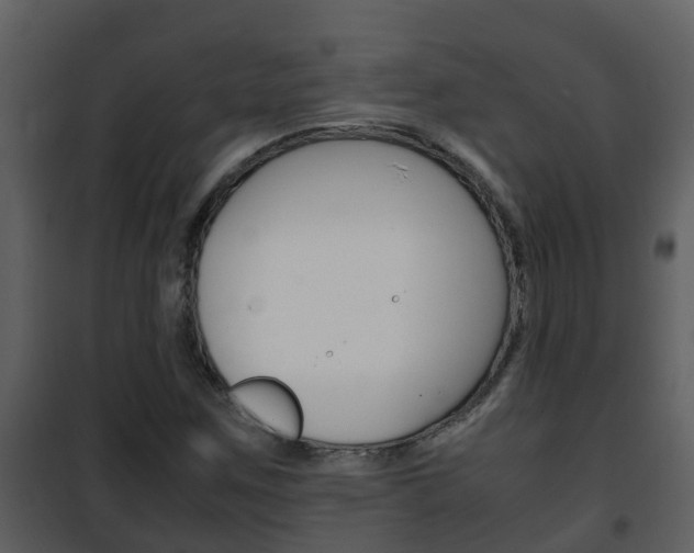 X0000101991259200807180816