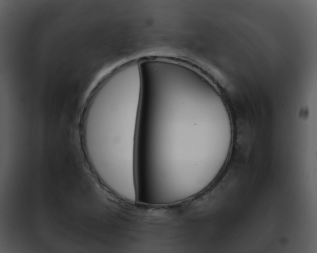 X0000101991264200807180816
